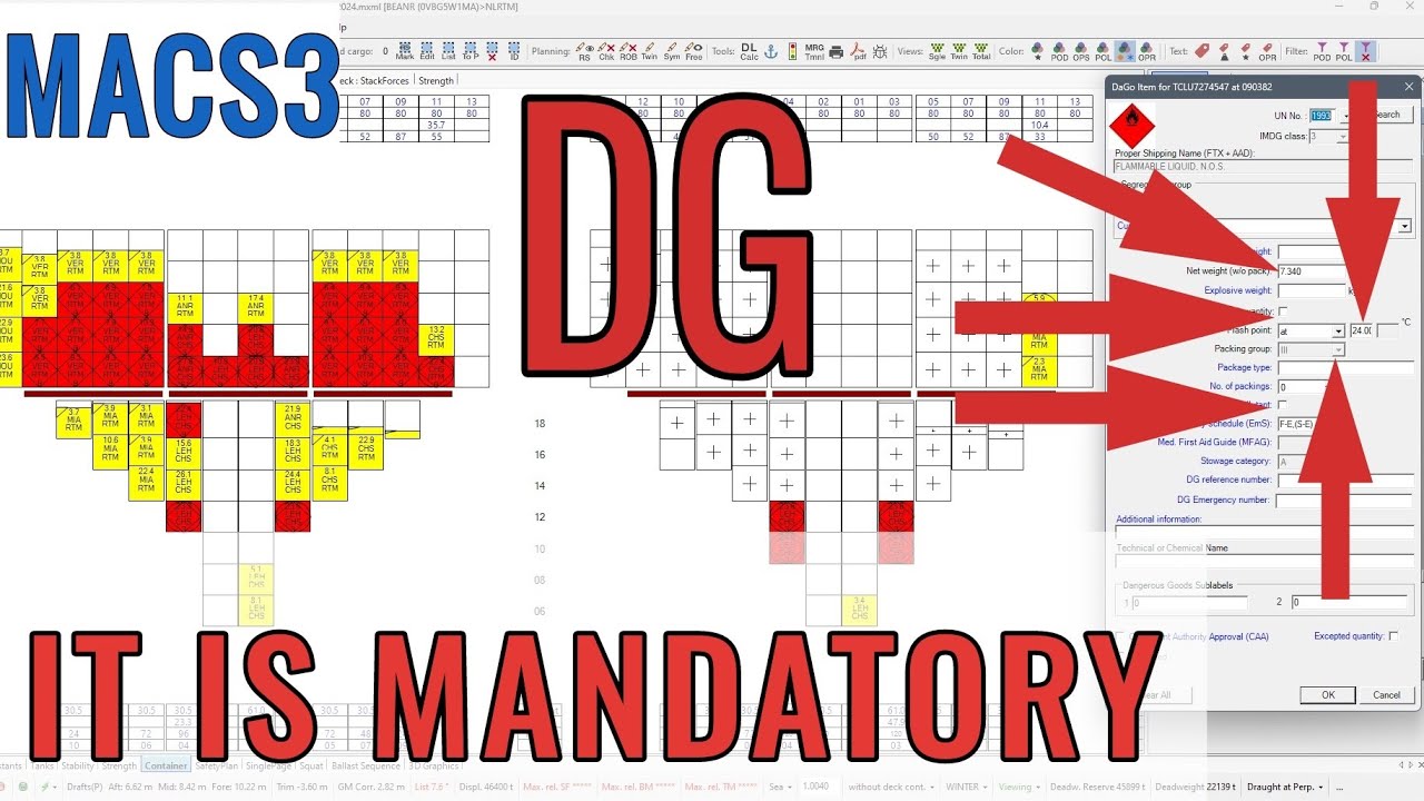 What DG data must be filled up in the loadicator? 