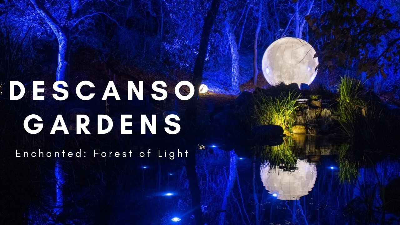 Descanso Gardens- Enchanted: Forest of Lights 2021