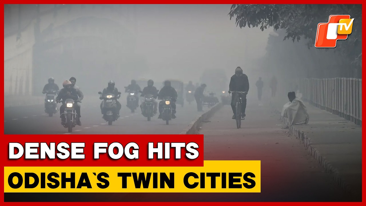 Dense Fog Disrupts Normal Life Across Twin Cities In Odisha