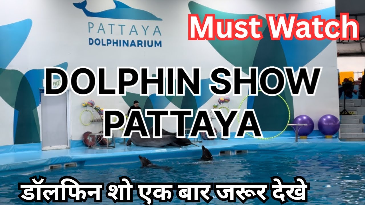 Dolphin show pattaya | Dolphinarium Pattaya | पत्ताया डॉलफिन शो | Dolphin Show Thailand | 