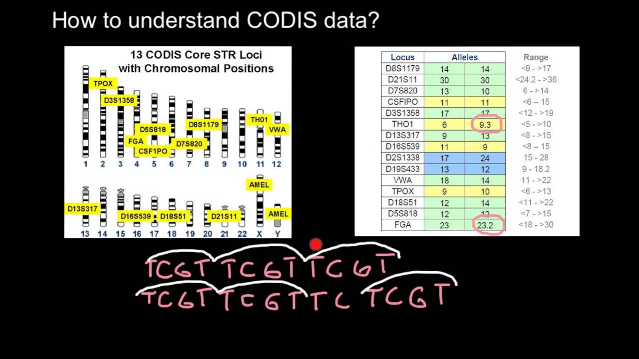 How to analyze and understand CODIS data?