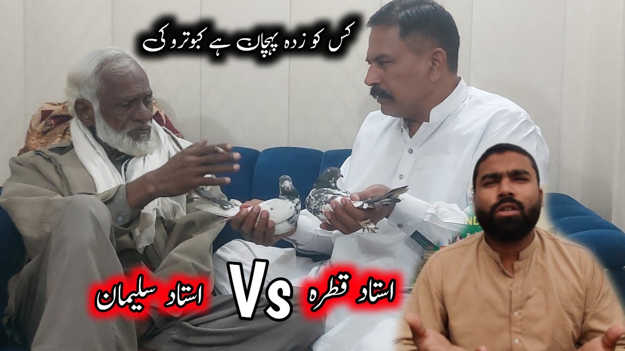 Ustad Qatra Vs Ustad Suleman Kis Ku Pehchan Hy Kabootaru Ki 😅
