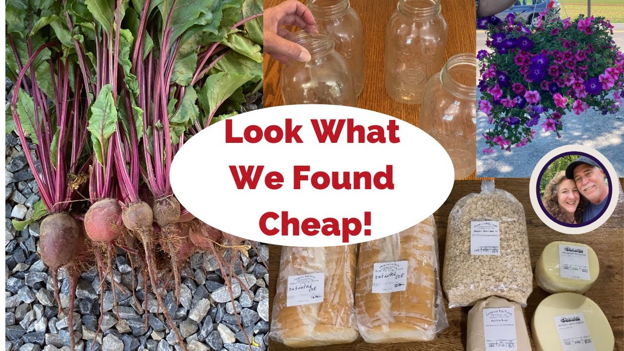 Look What We Found Cheap! #frugalliving