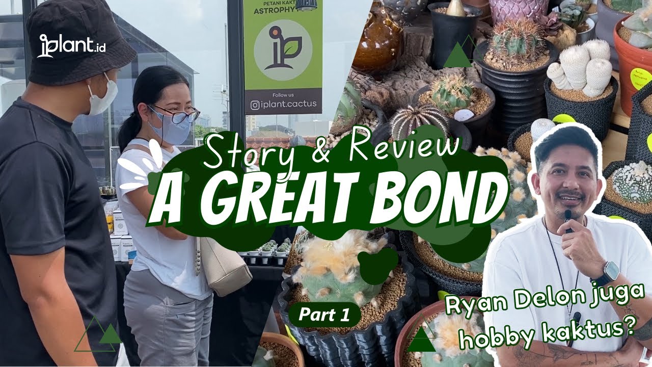 Pameran Kaktus Sukulen dan Tanaman Gurun di Jakarta - A GREAT BOND | Part 1
