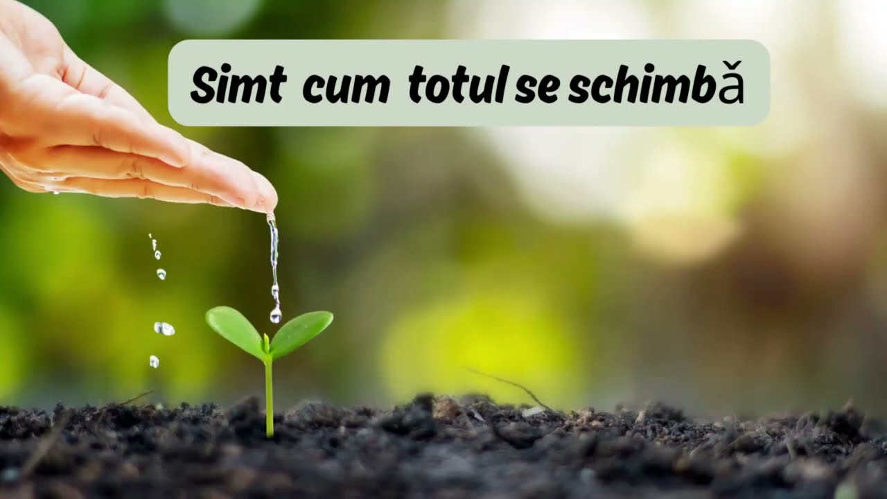 SIMT CUM TOTUL SE SCHIMBĂ, TOTUL SE TRANSFORMĂ #schimbarepozitivă 