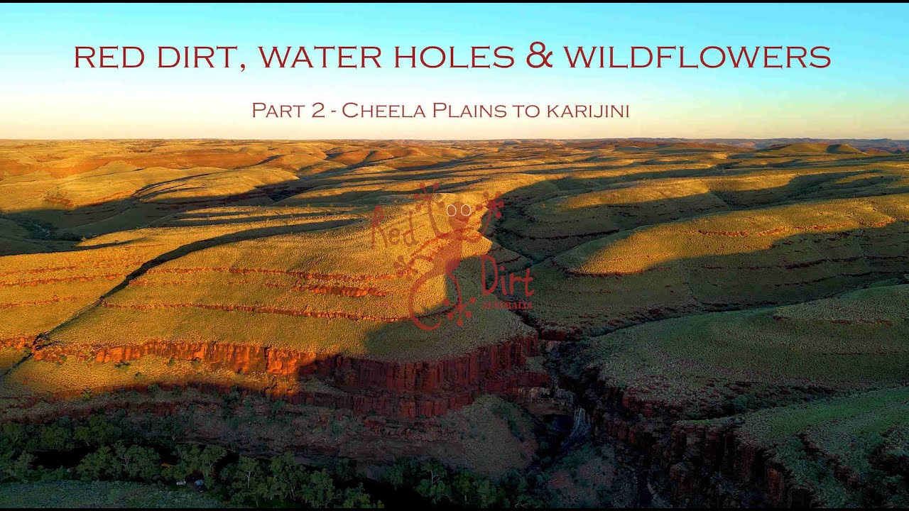 Pilbara 2022   Red dirt, waterholes and wildflowers   Part 2 – Cheela to Karijini