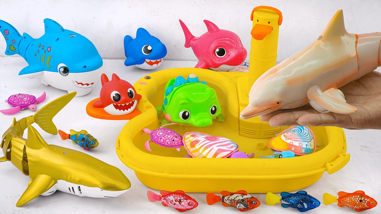 [Toy asmr] RC Dolphin & Crocodile & Ray &Mosasaurus &Turtle & Aquarium ASMR Satisfying with Unboxing