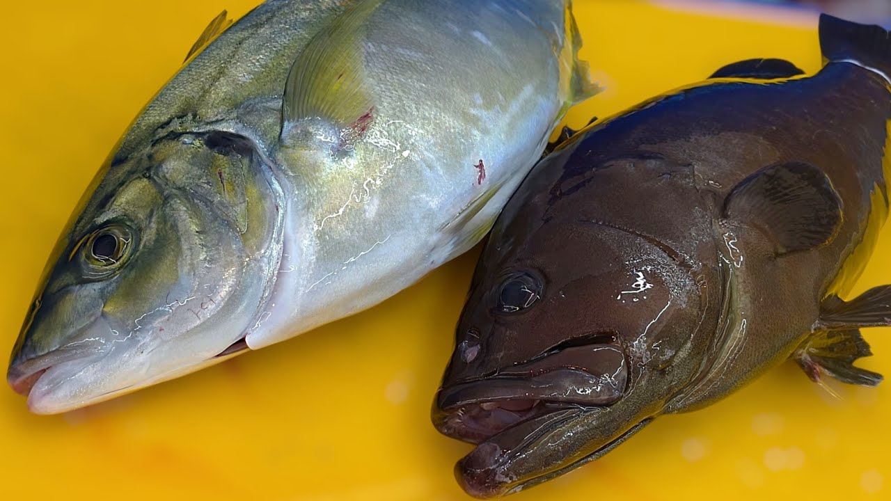 Настоящие короли сашими: сима-адзи и групер!Каково на вкус?