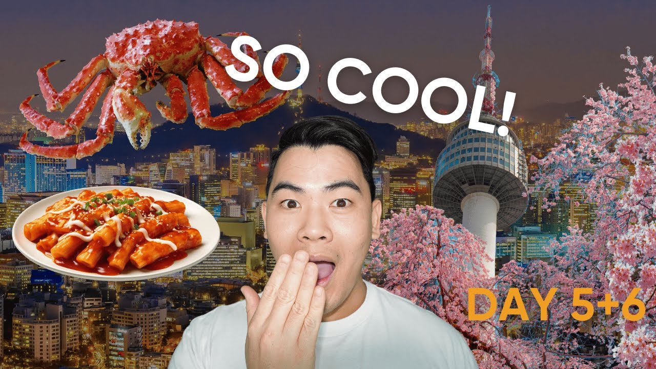 Our Last Days in Seoul | N Seoul Tower and Grocery Shopping | Vlog Day 4 and 5