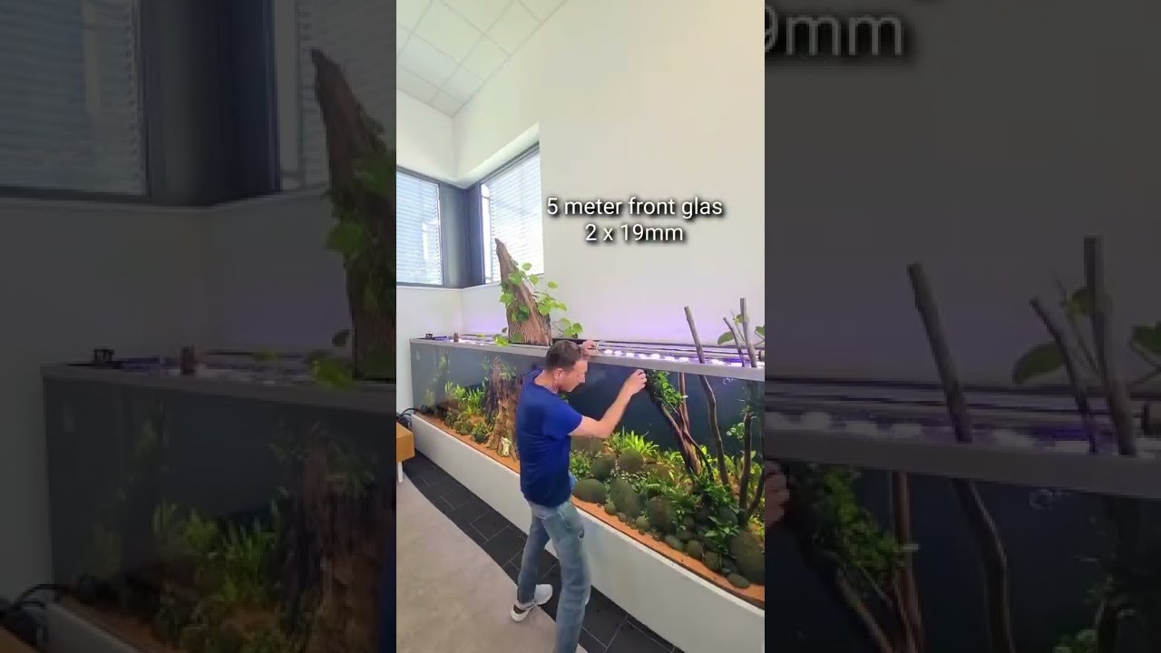 5,000 liter planted feat. 2,000 liter Cichlid tank