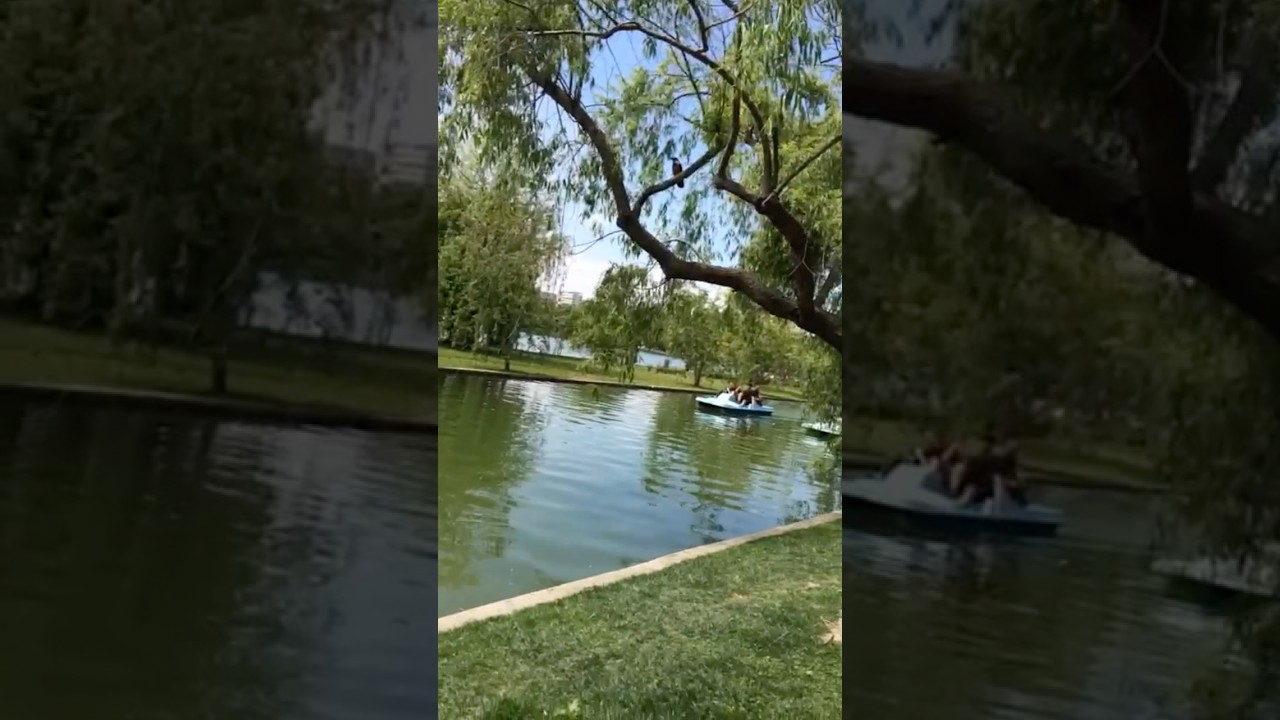 A Stroll Through the Beautiful Parcul Tineretului in Bucharest, Sector 4