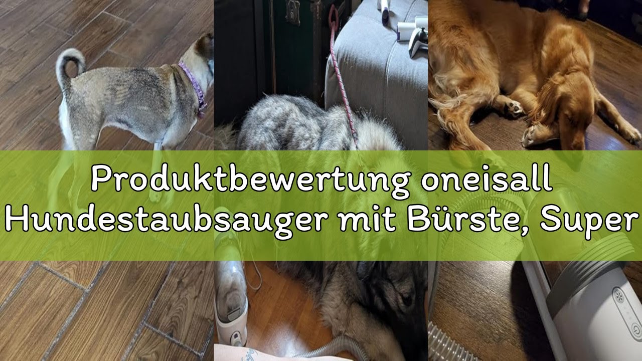 Produktbewertung oneisall Hundestaubsauger mit Bürste, Super Saugkraft mit 12000Pa, Tierhaar staubsa