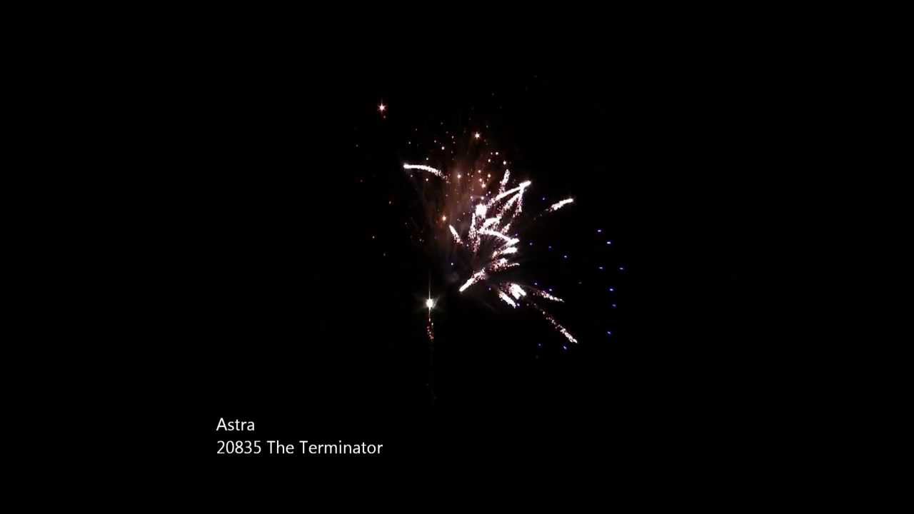 20835 The Terminator
