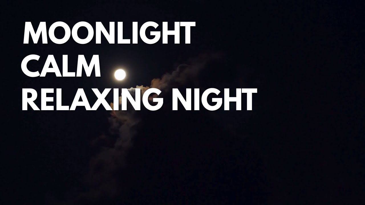Moonlight Calm  Relaxing Night Sky Ambience