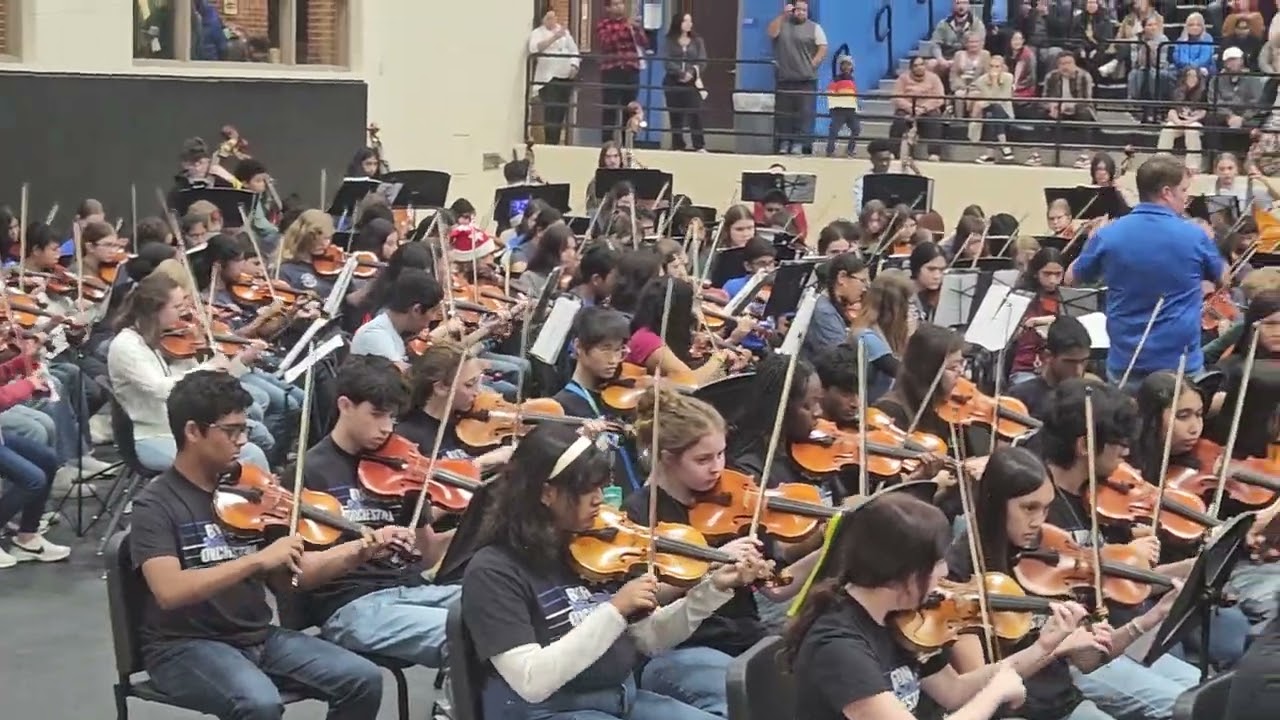 Orchestra performance 