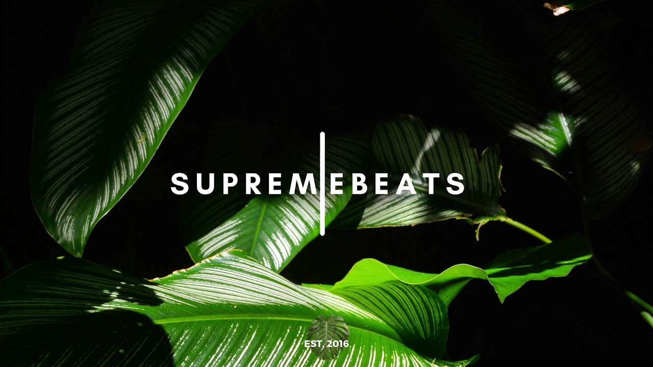 j.robb - controlla