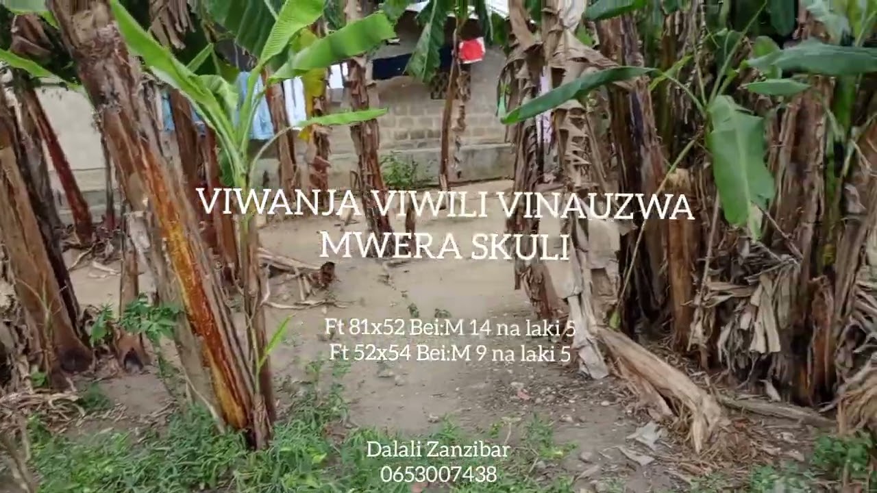 VIWANJA VIWILI VINAUZWA MWERA SKULI UNGUJA ZANZIBAR (0653007438)