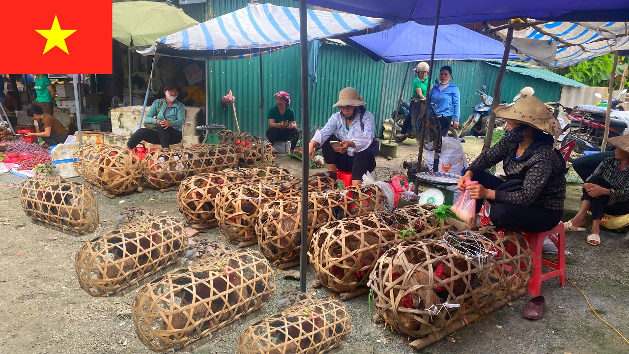 Traditional Vietnamese Market Discover the rủal market of the H'mong ethnic group