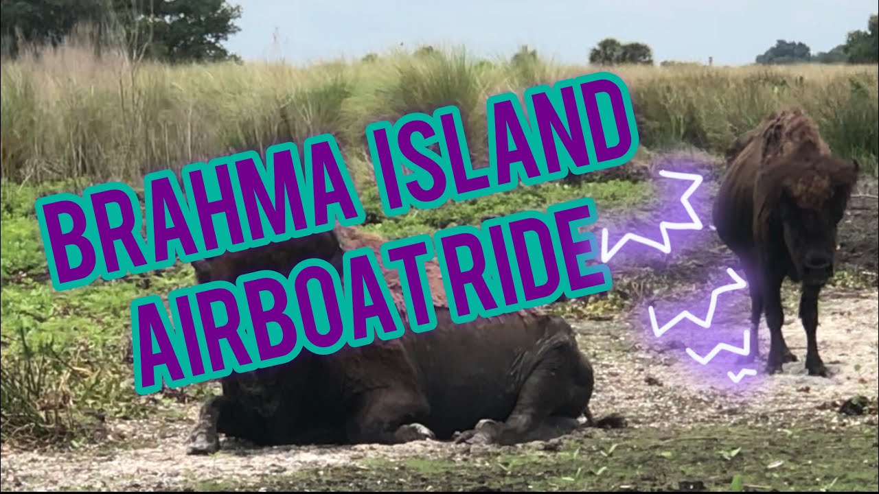 Airboat Adventure- Brahma Island- Lake Kissimmee