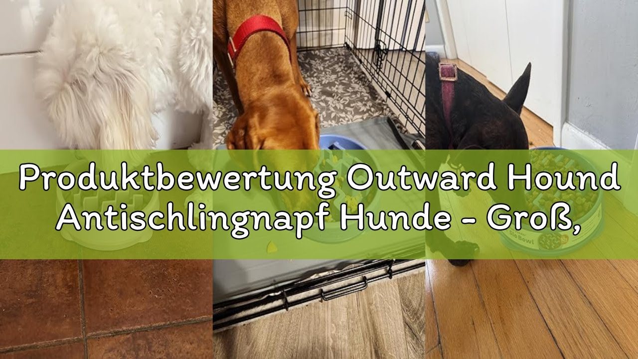 Produktbewertung Outward Hound Antischlingnapf Hunde - Groß, Slow Feeder Hundenapf für mehr Fressspa