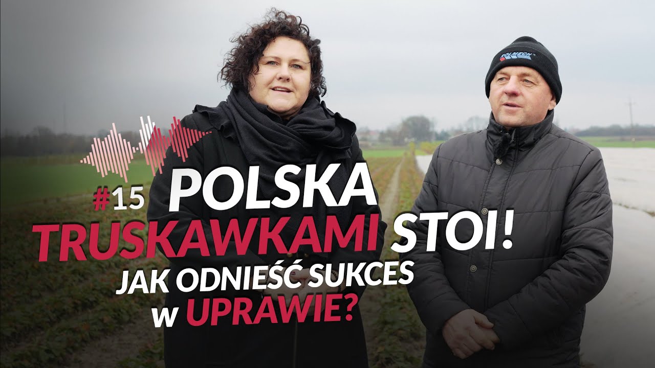 Polska truskawkami stoi: Jak odnieść sukces w uprawie? UprawoMocni #15