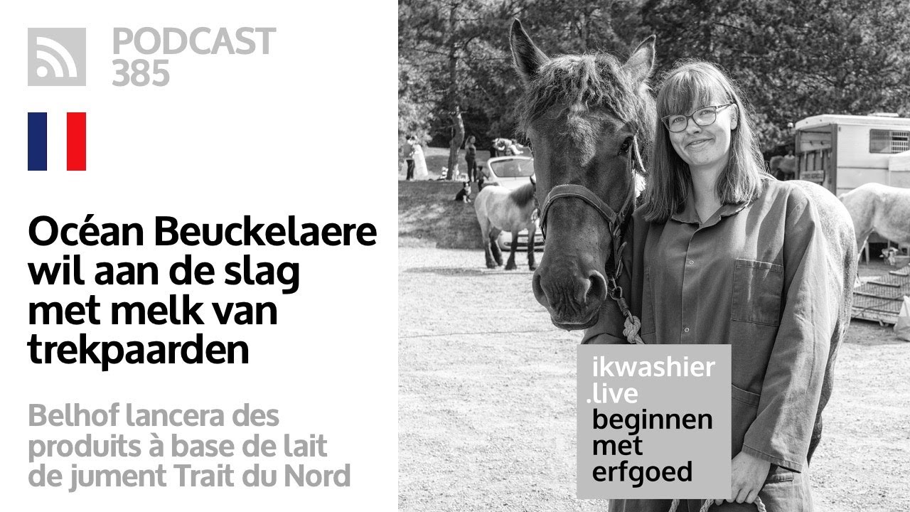Lancer des produits à base de lait Trait du Nord - Océane Beuckelaere - Beginnen met erfgoed 385