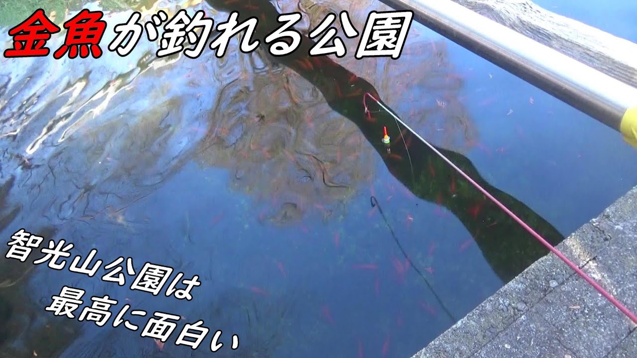 金魚が釣れる公園が面白い