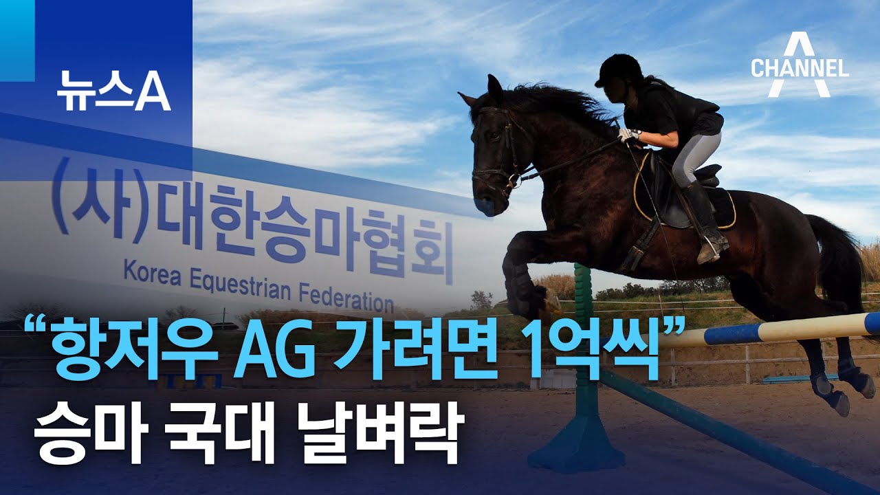 “항저우 AG 가려면 1억씩”…승마 국대 날벼락 | 뉴스A