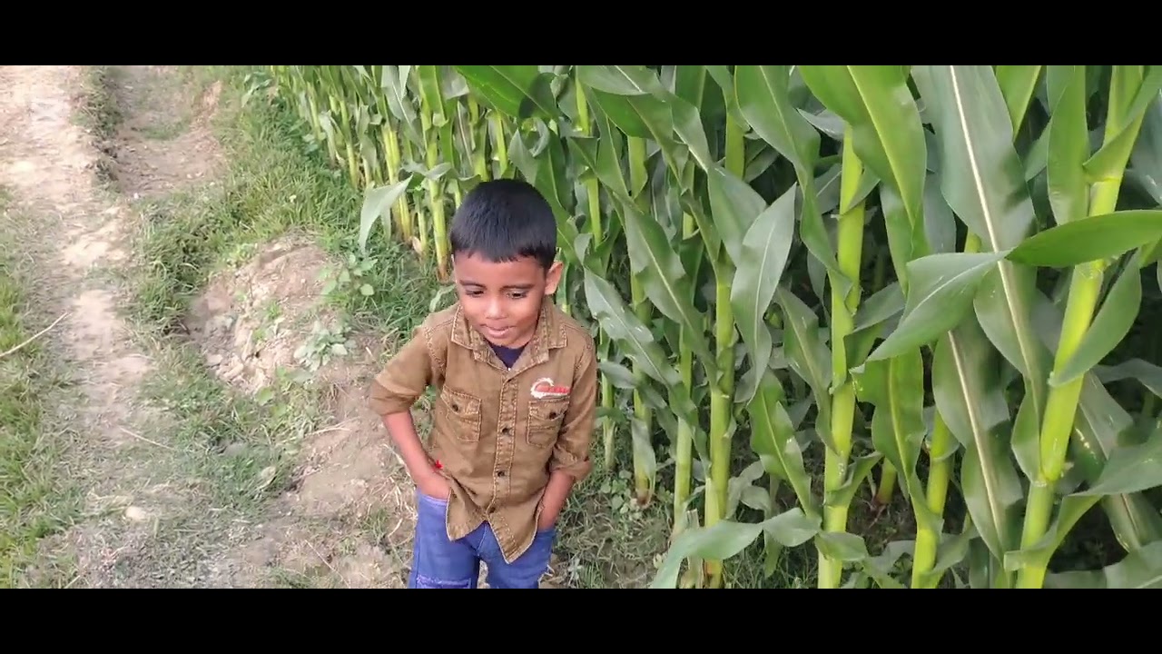 আমরা সবাই মিলে দাদুর দেশের বাড়িতে ঘুরতে গেলাম,,, অনেক মজা করলাম,,, #viralvideo #video #funny #