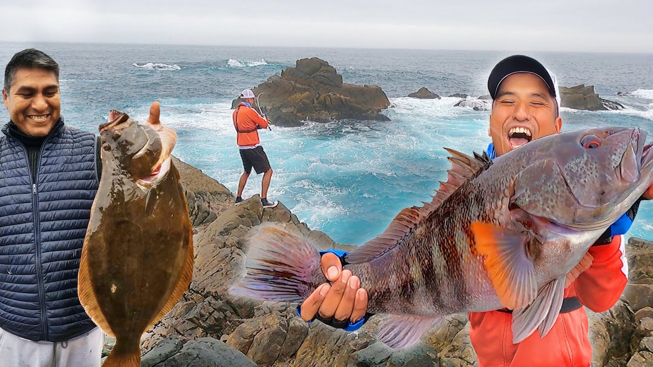 Lenguado de casi 3 kg y Super cabrilla de 3.5 kg en zona de rocas