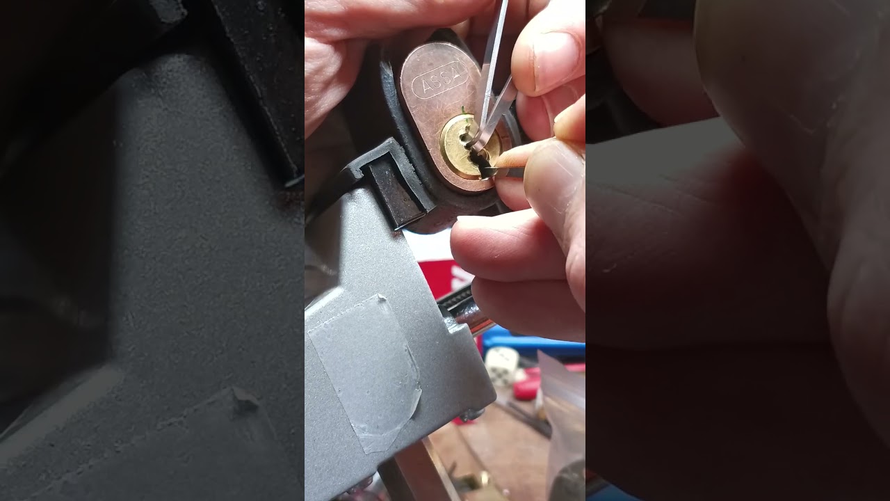 ASSA 600 w/gins