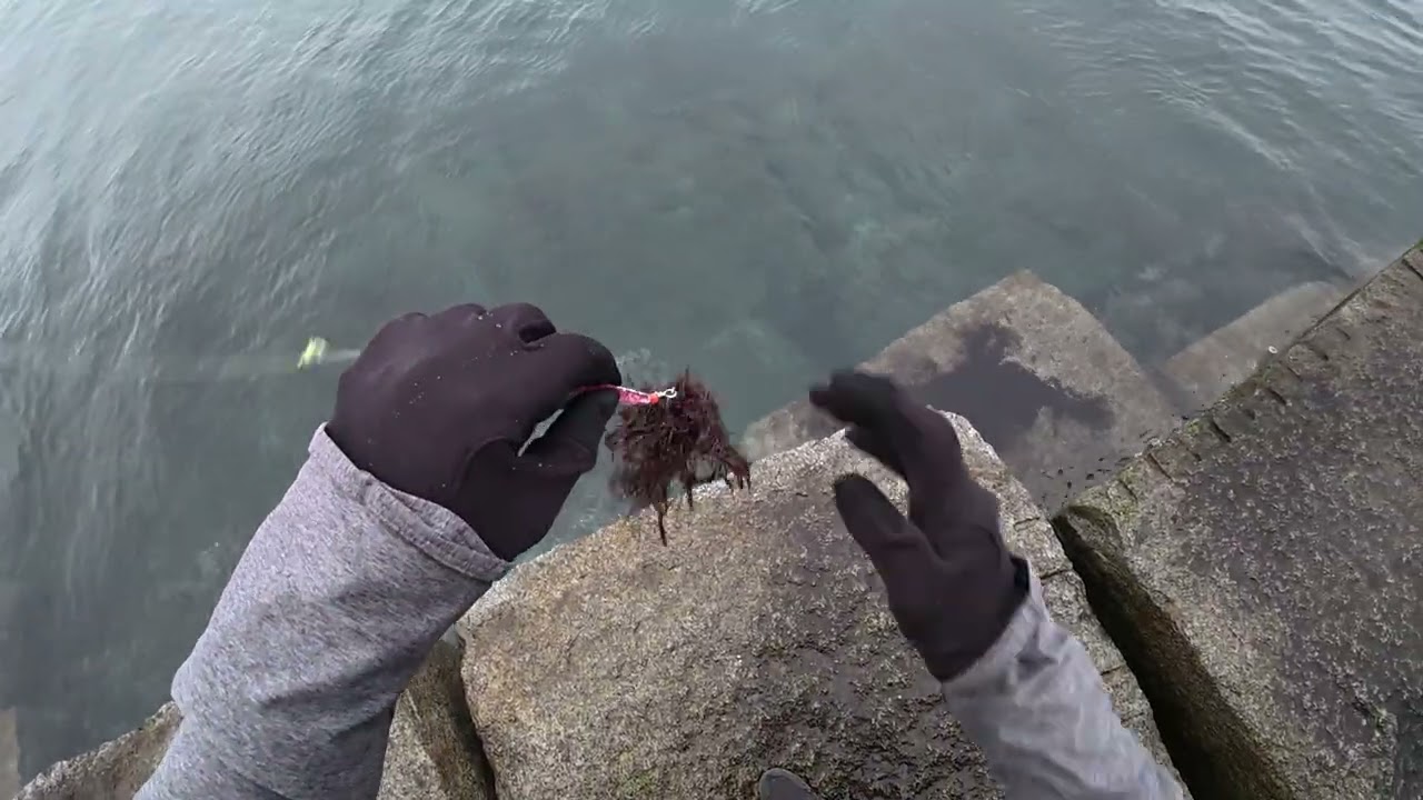 Fishing on the Breakwater, Victoria (POV, 4K)