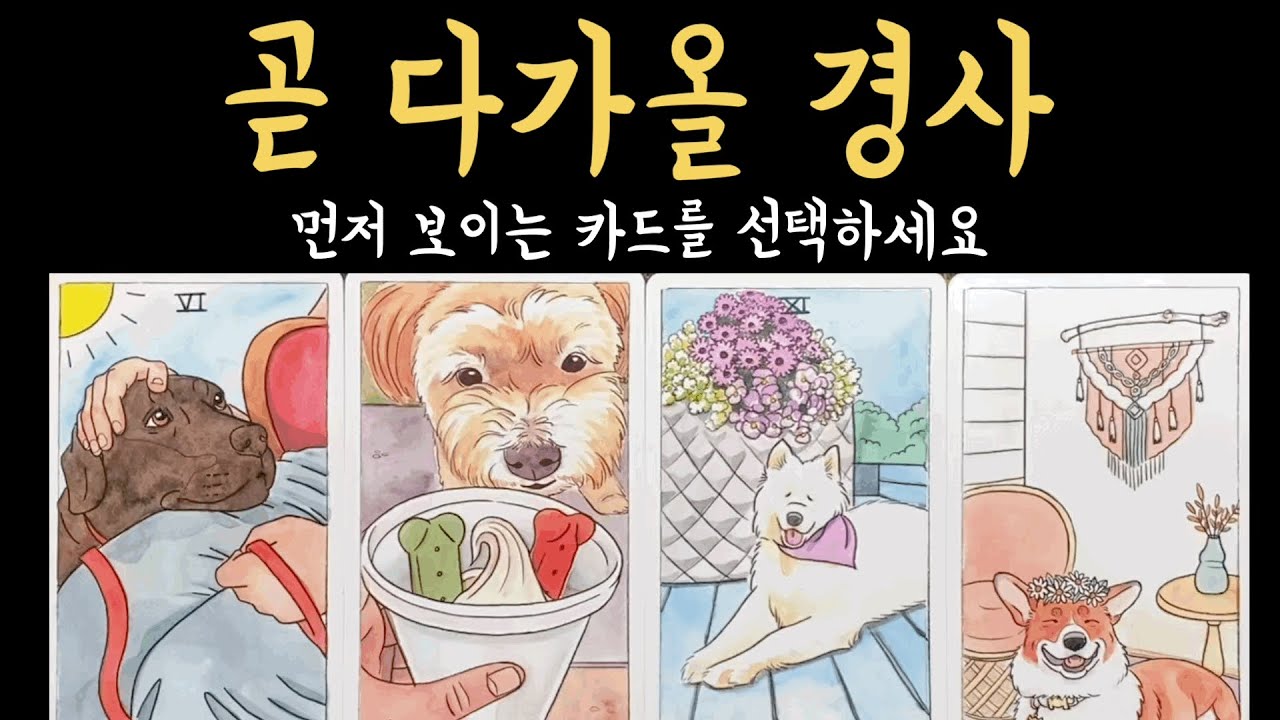 [타로] 99.9% 소름 돋게 맞는 곧 다가올 경사, 진심으로 기원합니다🙏🏻