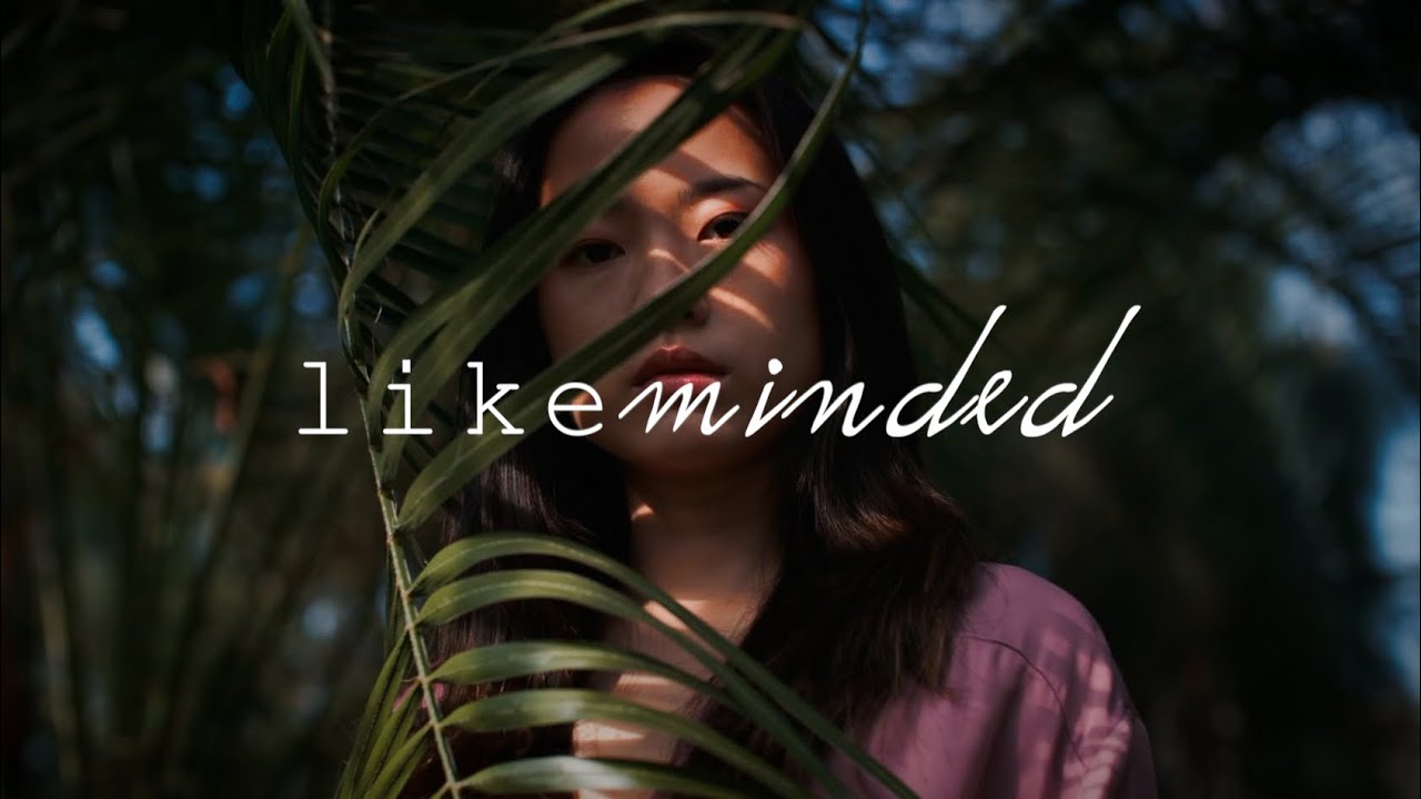 Friendship Finding Like Minded People - Inspirational Video