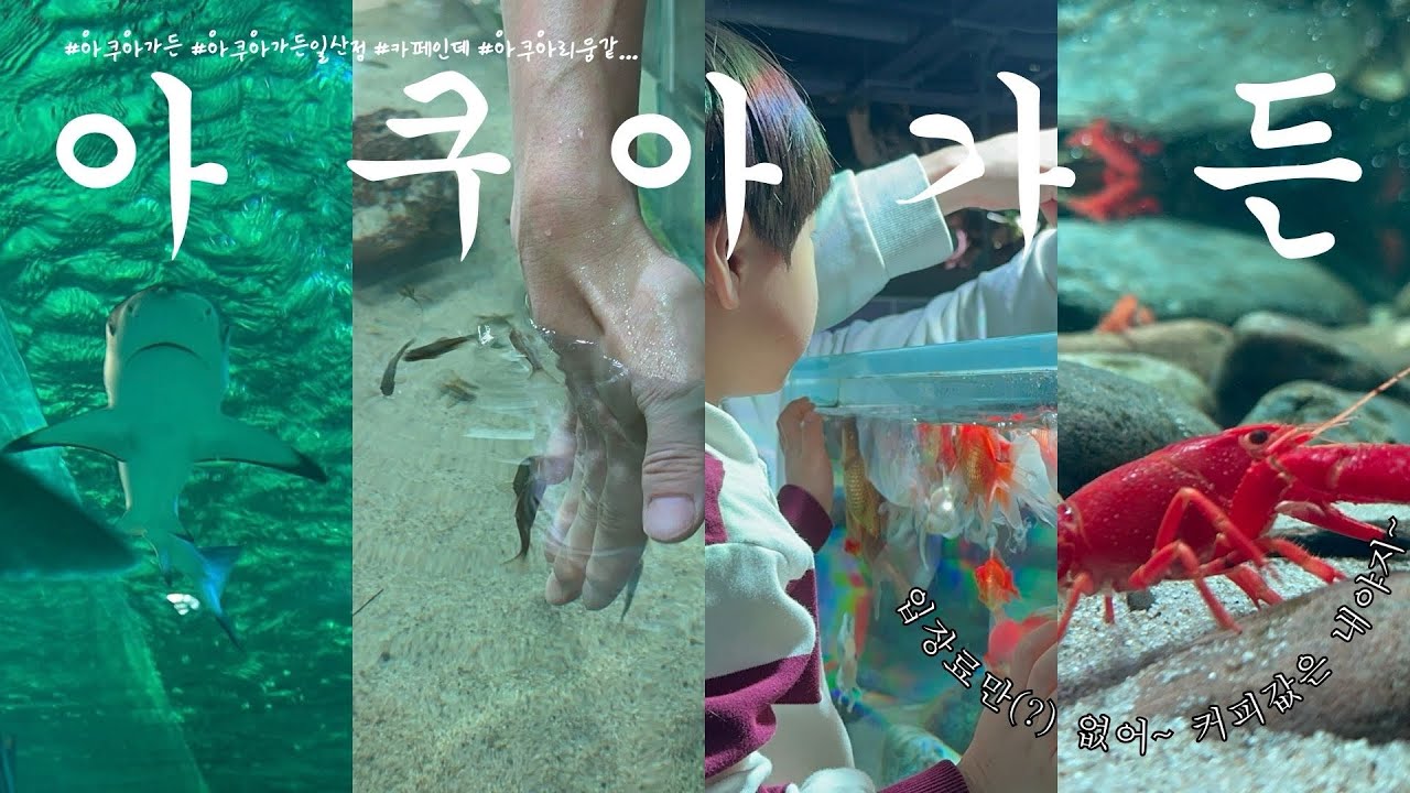 일산 아쿠아가든 입장료 없음? 카페 음료만 사면 구경 가능!! #아쿠아가든 #아쿠아가든일산점 #일산아이랑 #일산아기랑 #아기랑주말 #아기랑가볼만한곳 #아기랑여행 