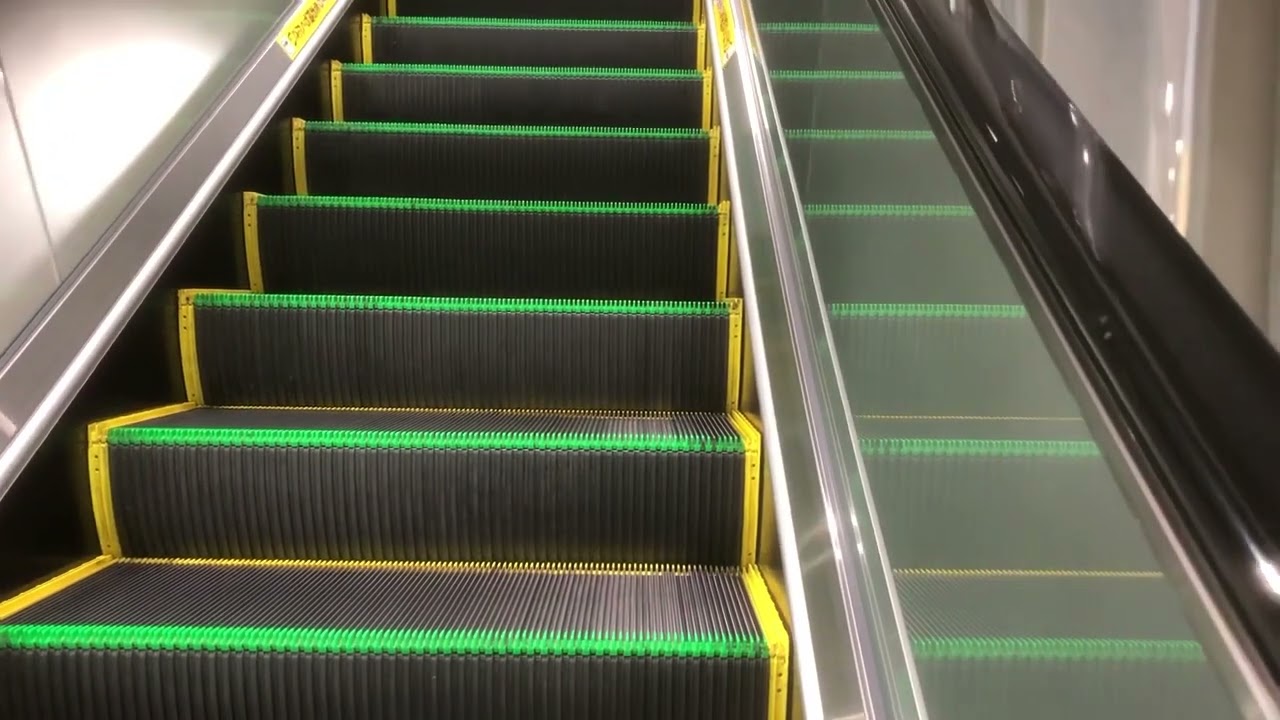 エスカレーターに上る Up escalator 2023