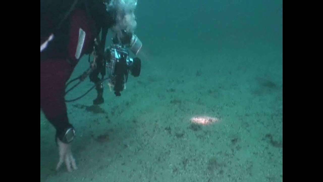 Scallop dredge damage to Church Bay, Rathlin Island stney reef