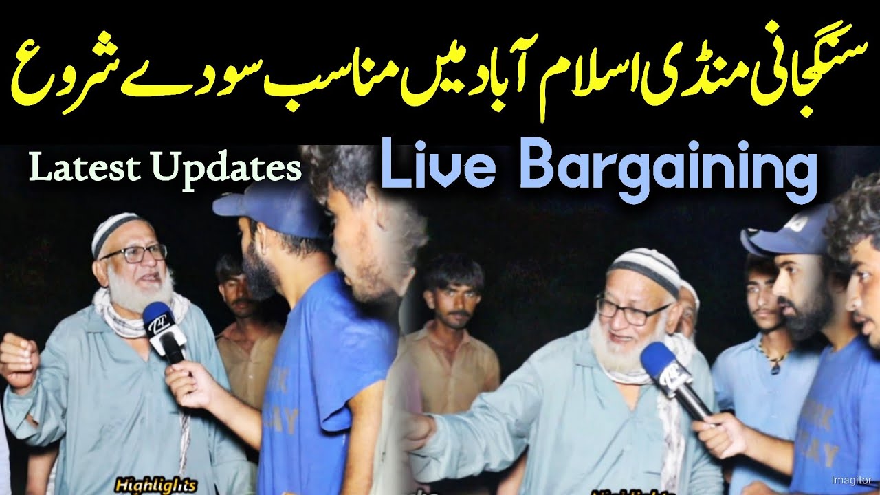 Sangjani Mandi 2023 - latest updates about qurbani 2023 - dangerous fateh jang bull - bakra mandi