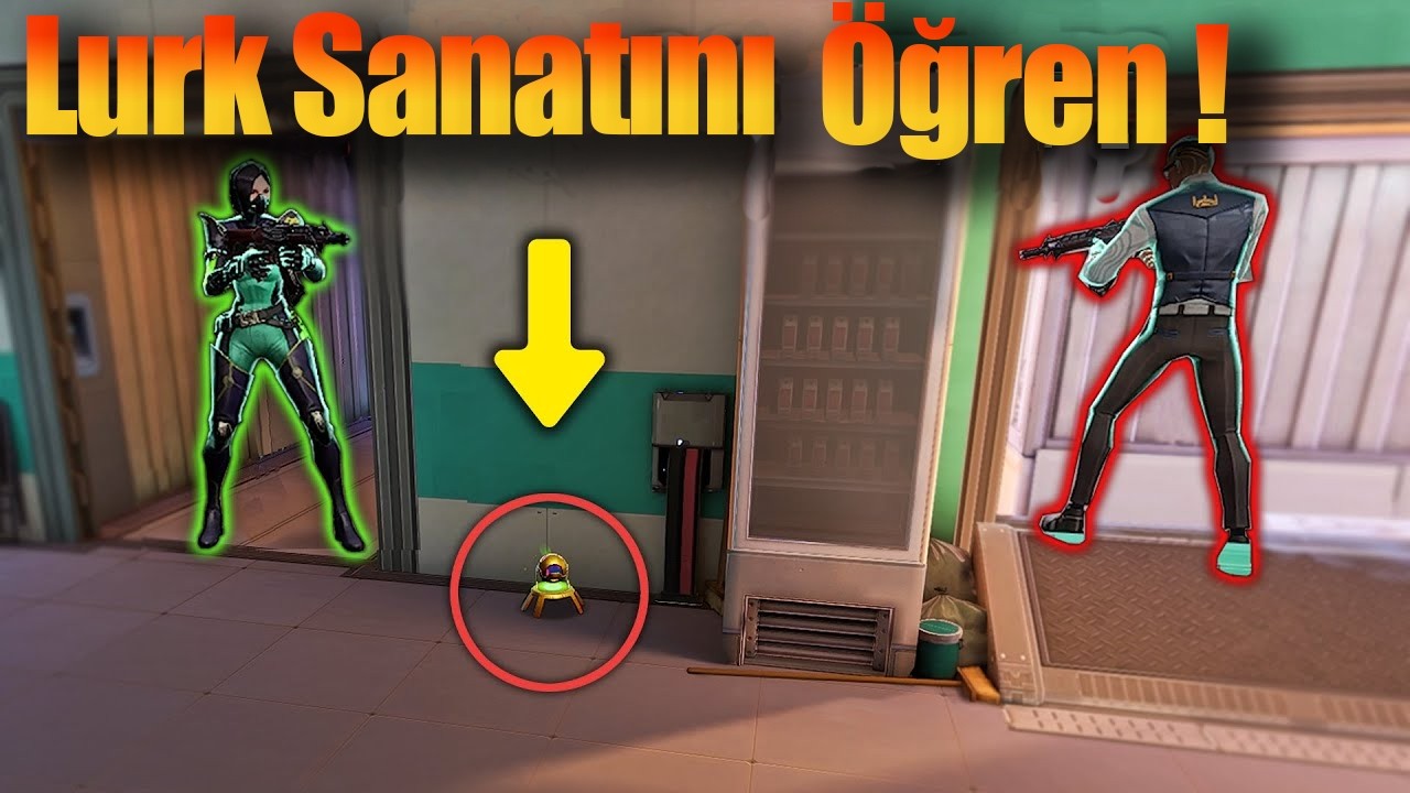 4 Dakikada Lurk Sanatında Usta Ol