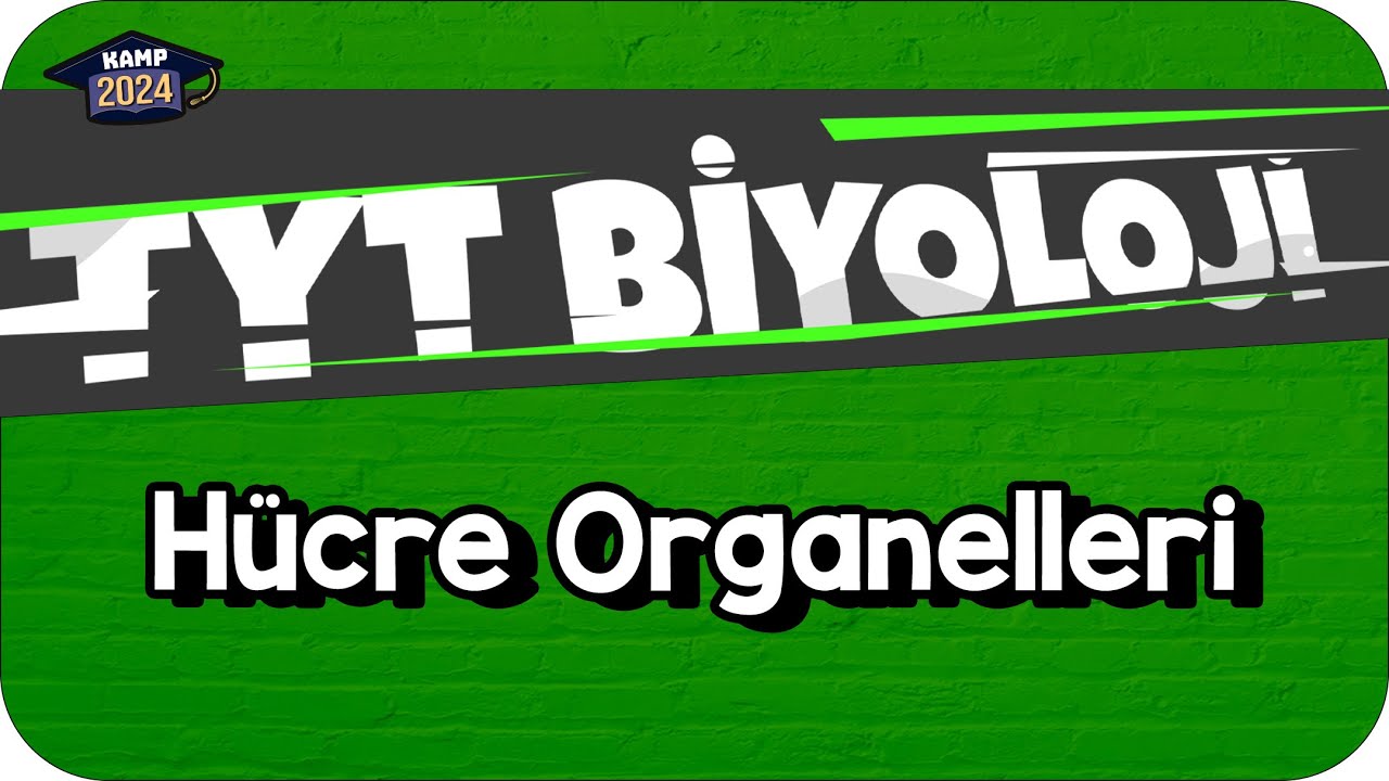 Hücre Organelleri | TYT Biyoloji #KAMP2024