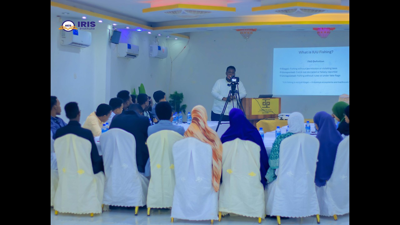 Blue Economy, Resources, and Regulatory Gaps: IUU Fishing in Somalia