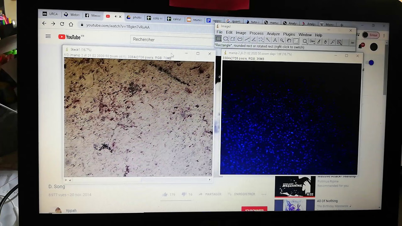 ImageJ comment fusionner deux images (amateur)