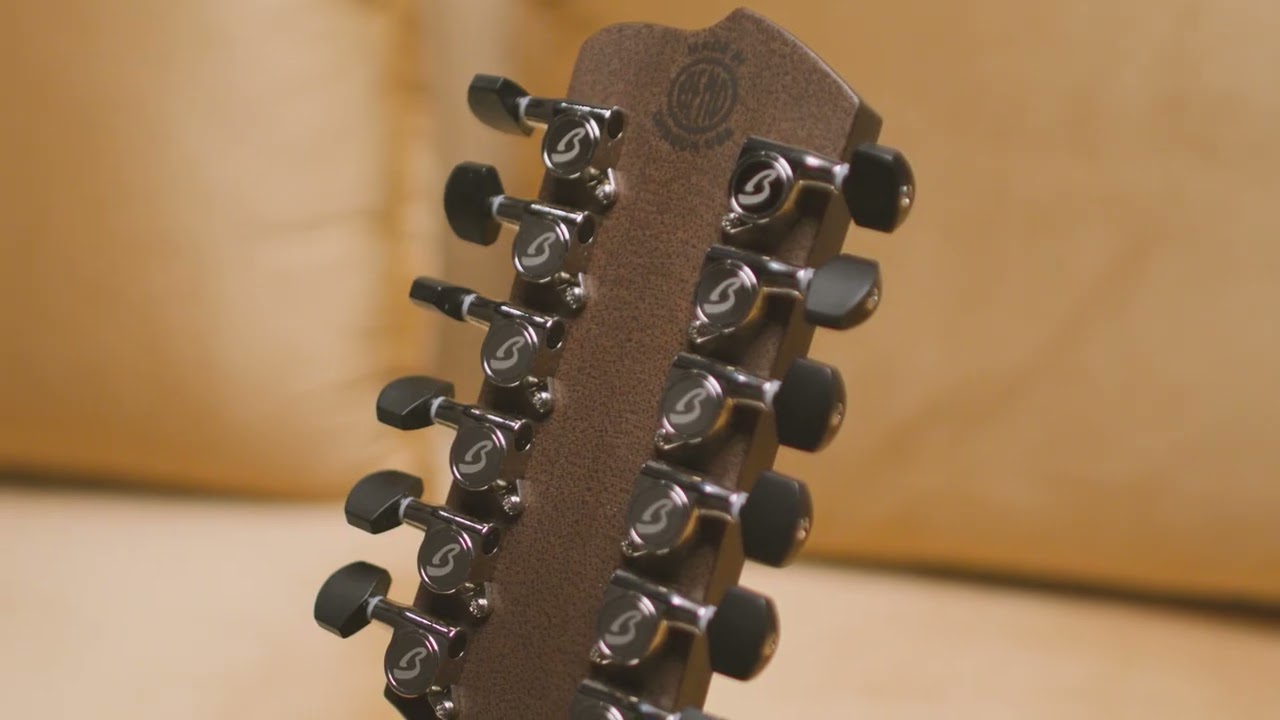 Breedlove Roots Series Sitka Spruce - Rosewood Acoustic-Electric Guitars