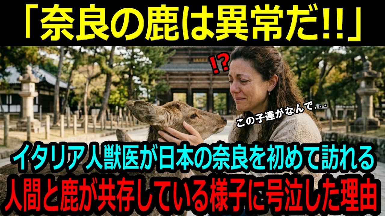【奈良公園鹿】「奈良の鹿は本当に動物なの？」イタリア人獣医が奈良公園を訪れ、人間と共存している姿を見て号泣。なぜ鹿さんたちは日本人に警戒しないのか。【海外の反応】