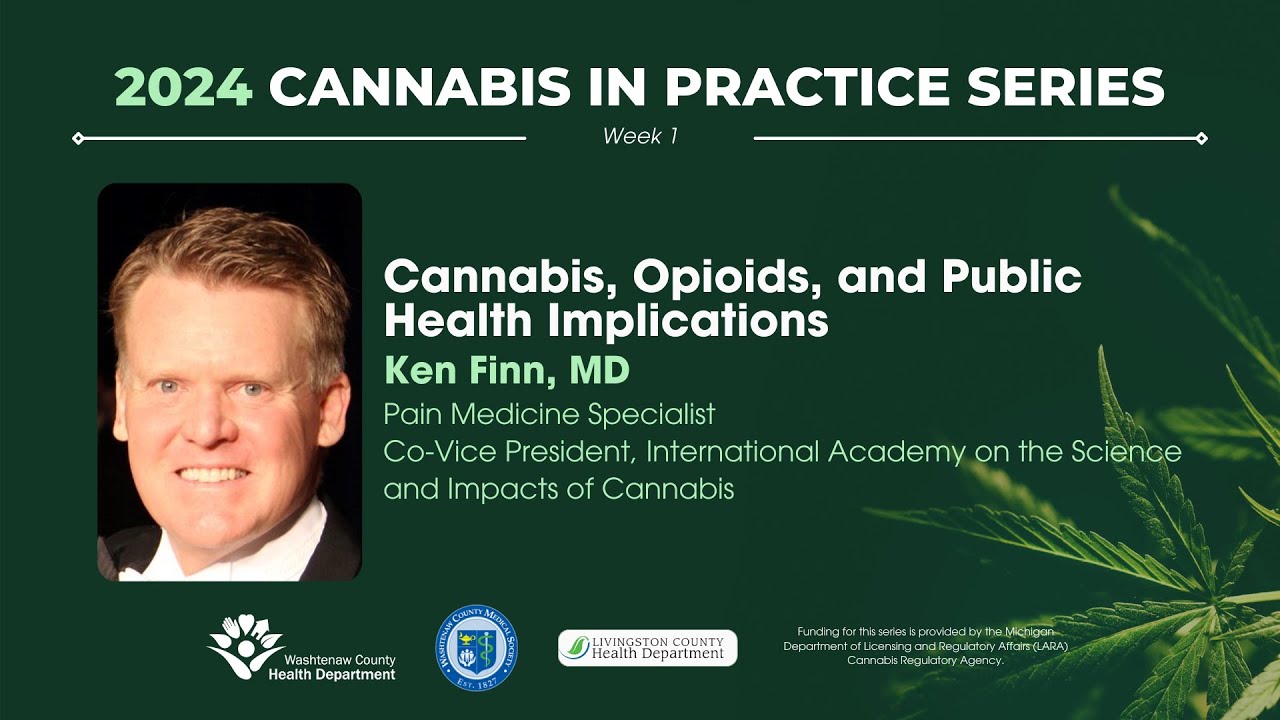 Cannabis, Opioids, and Public Health Implications