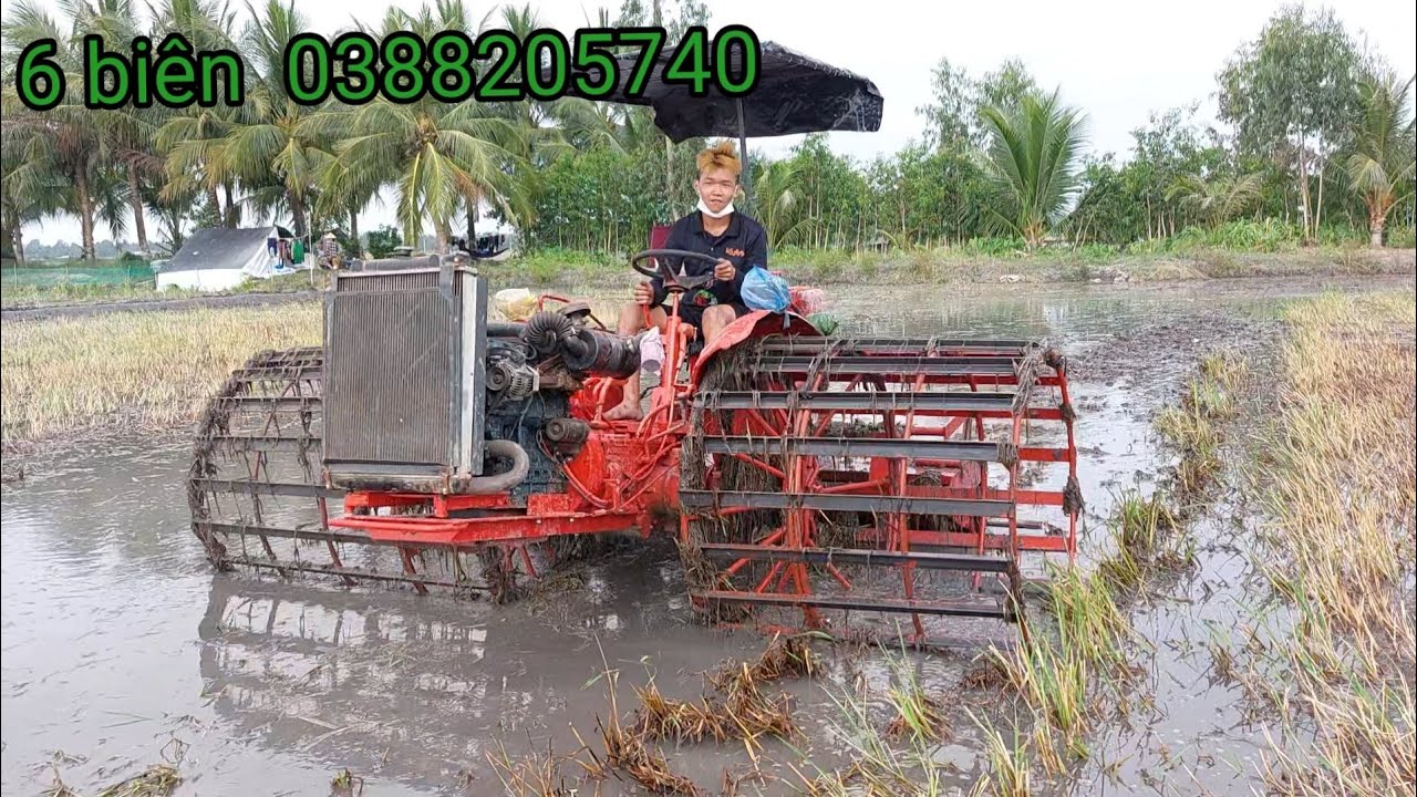 khai Trương máy văn tính tv