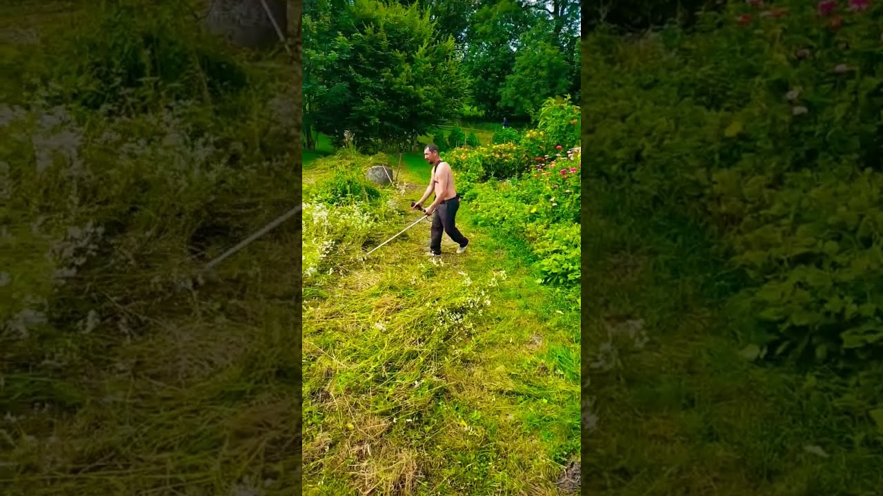 country man #village #farm #garden #lawnmower #lawn #funny #craft #grass #farming #plantas #farmer #