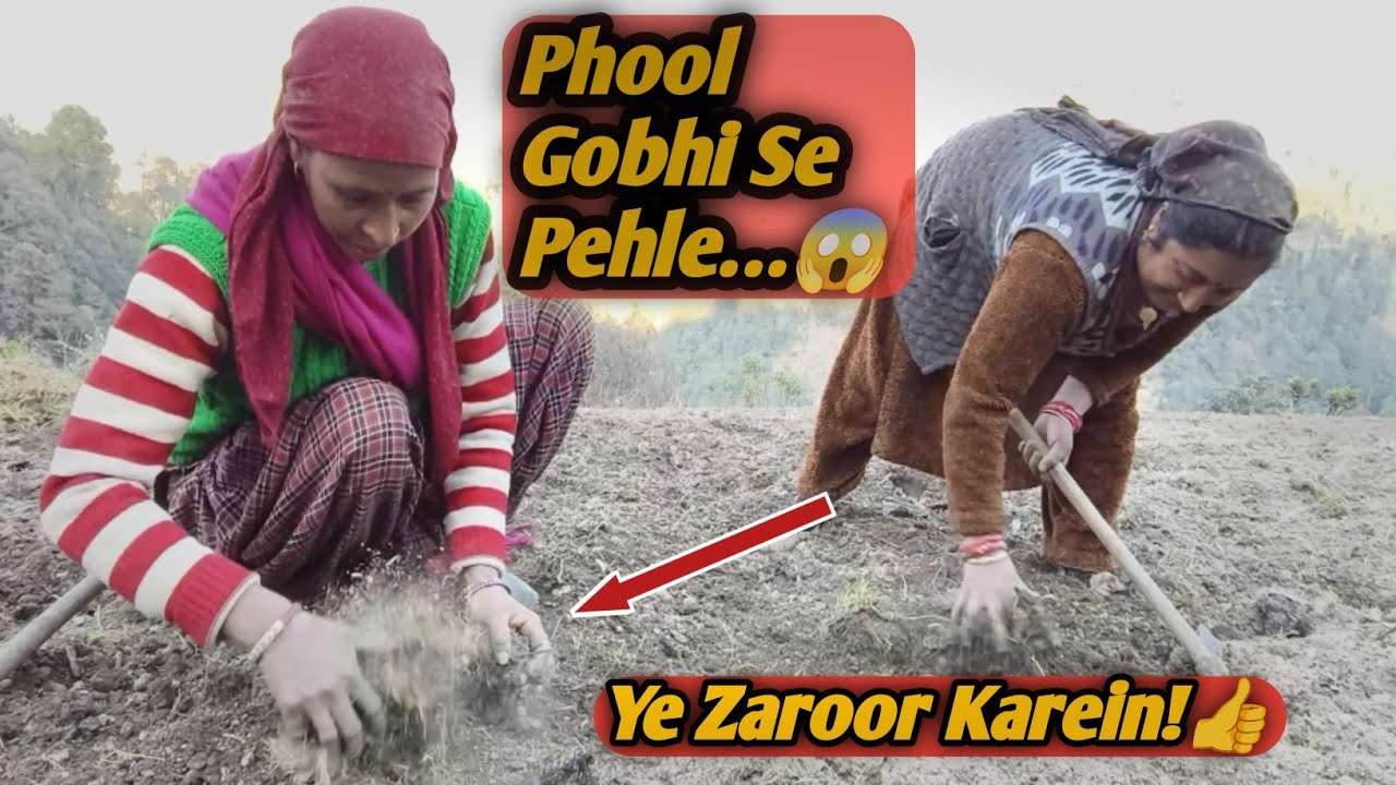 Is Kaam Ke Bina Gobhi Mat Lagana?⚠️🤔 | Pahadi Lifestyle Vlog 