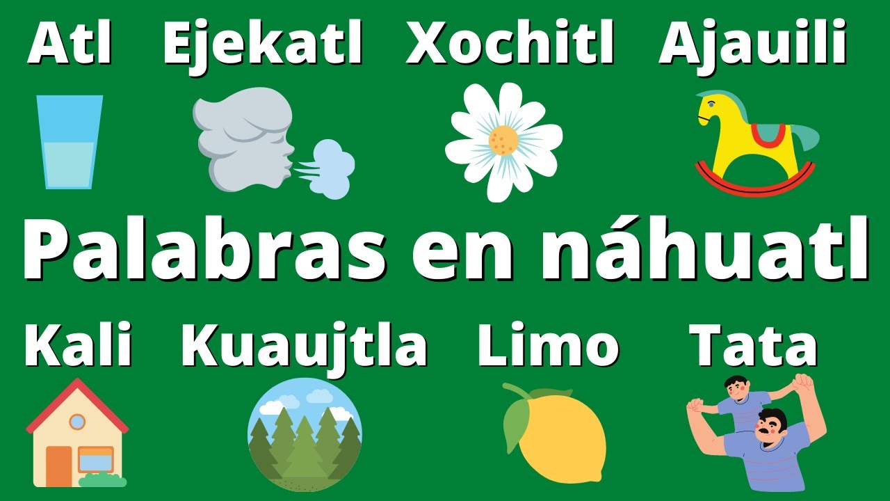 Palabras en náhuatl y su significado (animales, comida, colores, números y mucho más)🍋🌽🐶