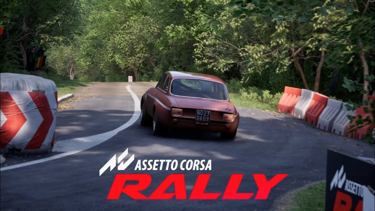 Die ersten Silber Medaillen? | Let's Play Assetto Corsa Rally Part 8